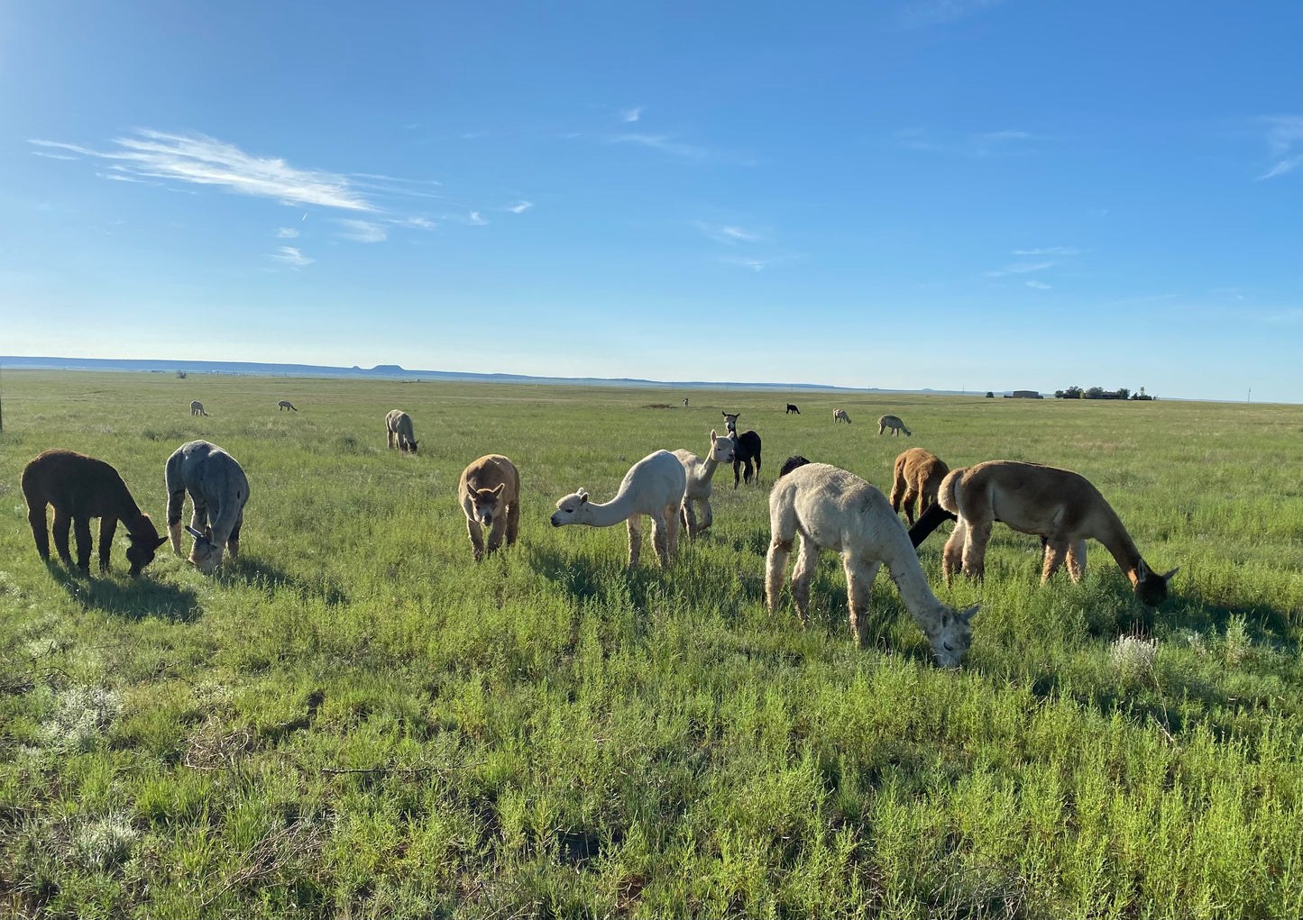 Working Fiber Farm Tour