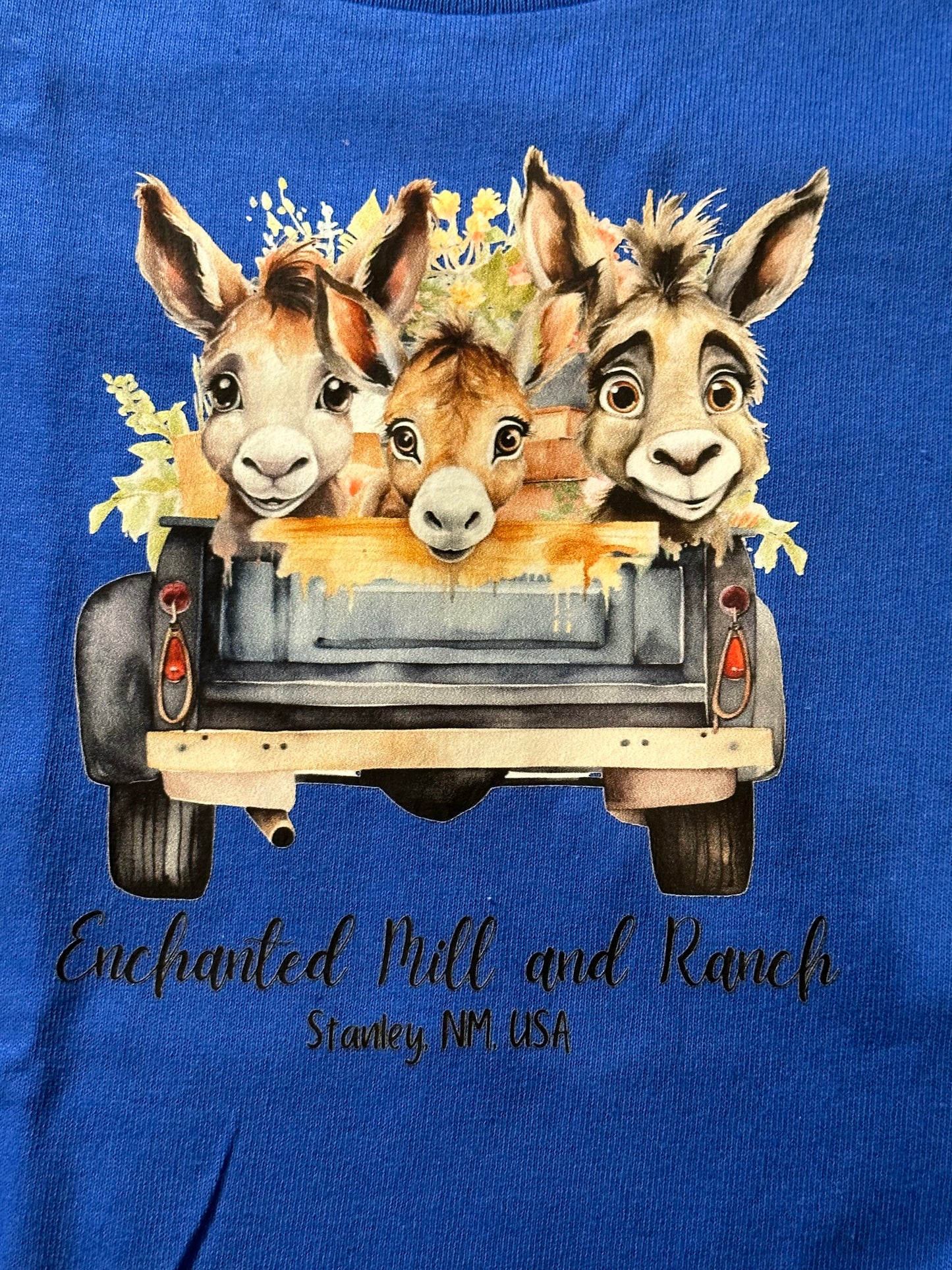 Toddler T-Shirt Trio of Donkeys Short Sleeve