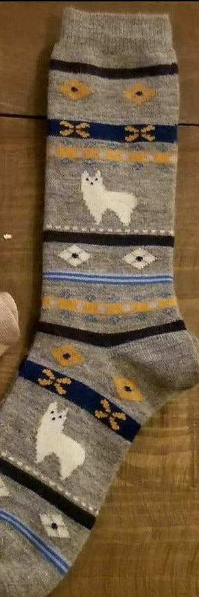 Socks-Alpaca Watching Socks